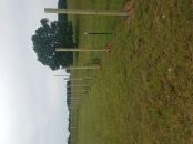 Spartanburg SC fence